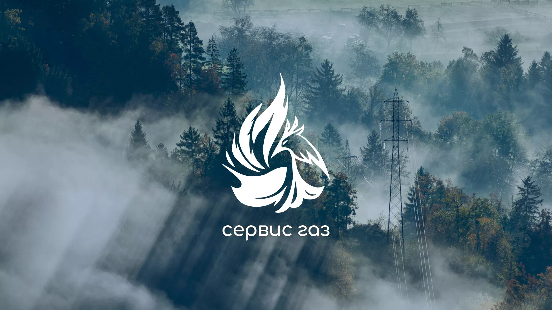 Создание сайта компании «Сервис газ» в Пушкино