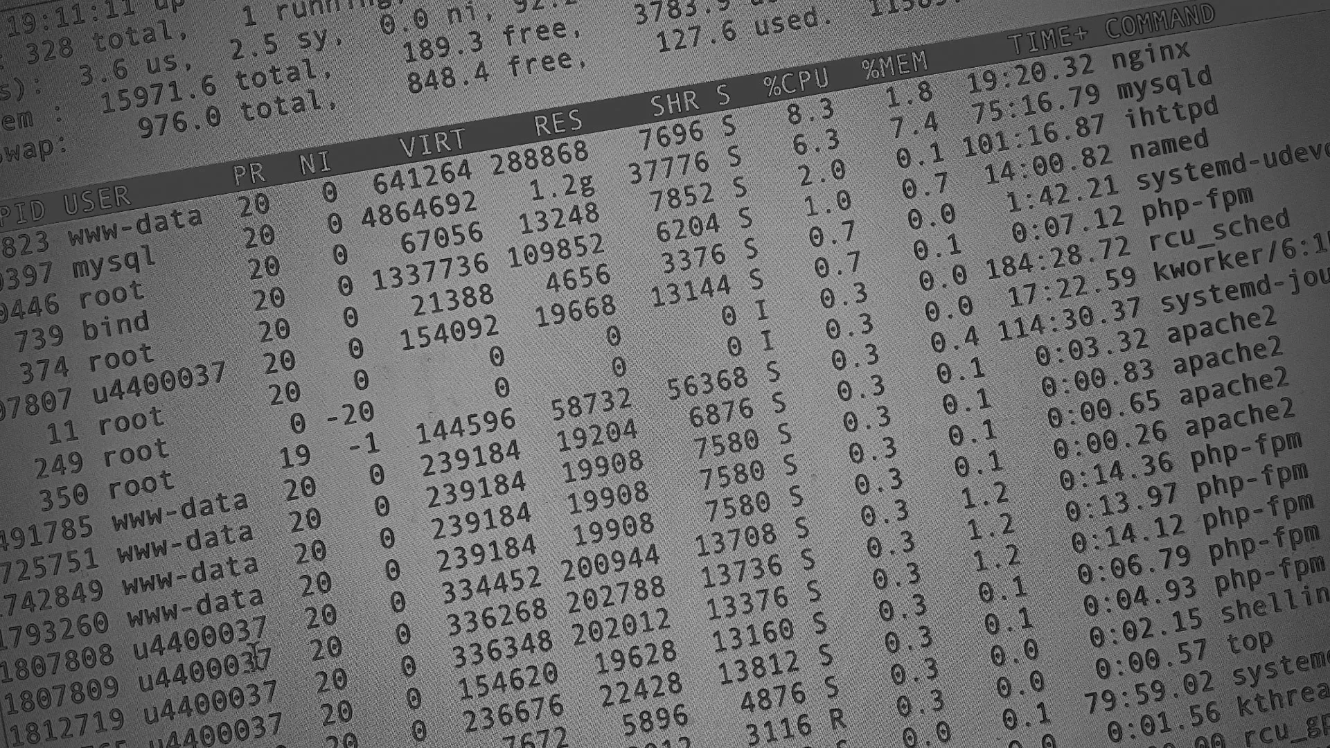 Настройка сервера в Пушкино