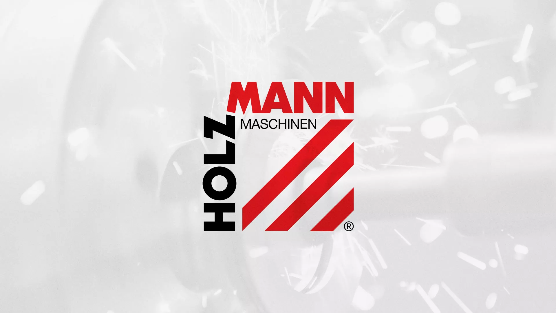 Создание сайта компании «HOLZMANN Maschinen GmbH» в Пушкино
