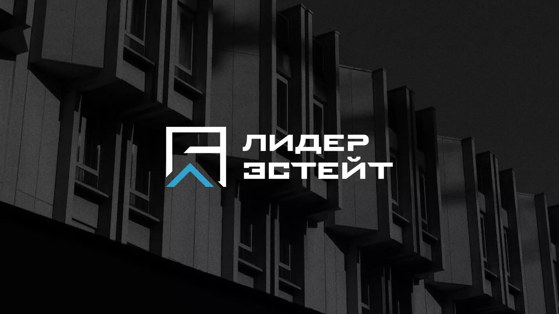 Разработка логотипа агентства недвижимости «Лидер Эстейт» в Пушкино
